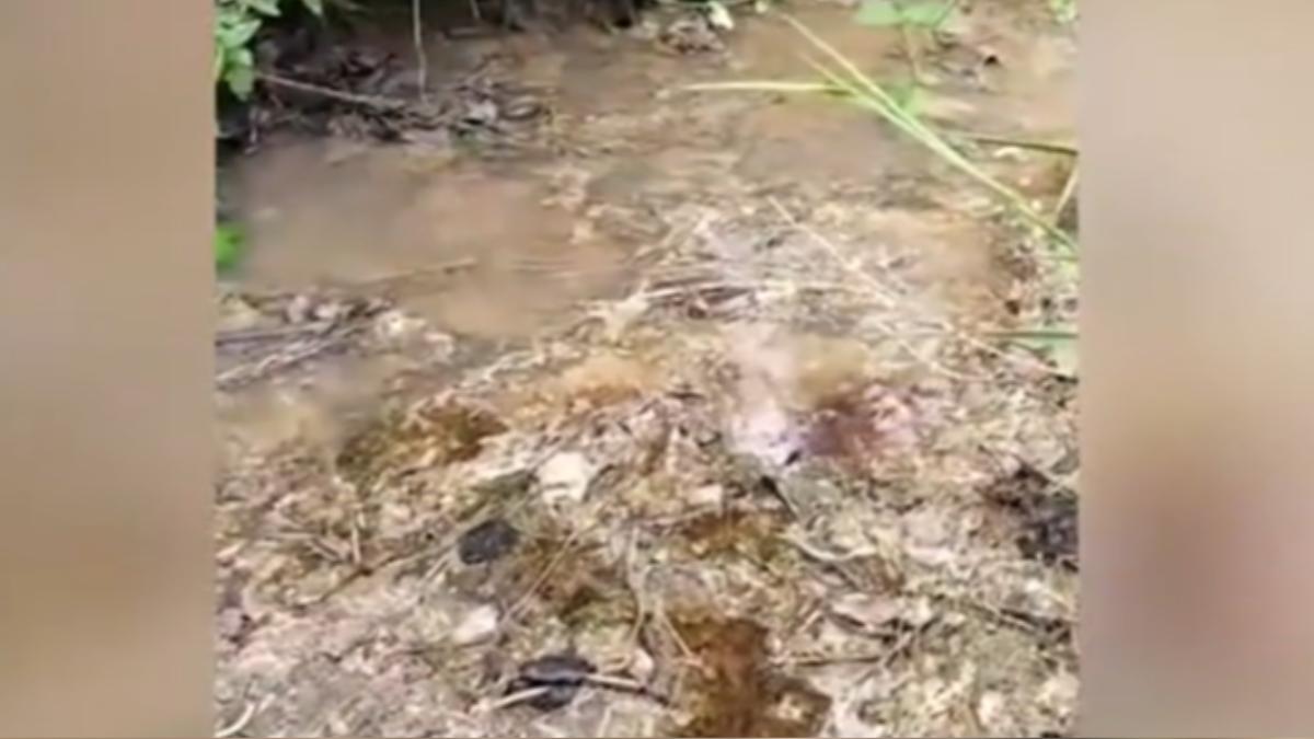 武漢「癌症村」黑幕,地下水遭化工廠污染,農田雜草死光光。(圖/大陸網路新聞)