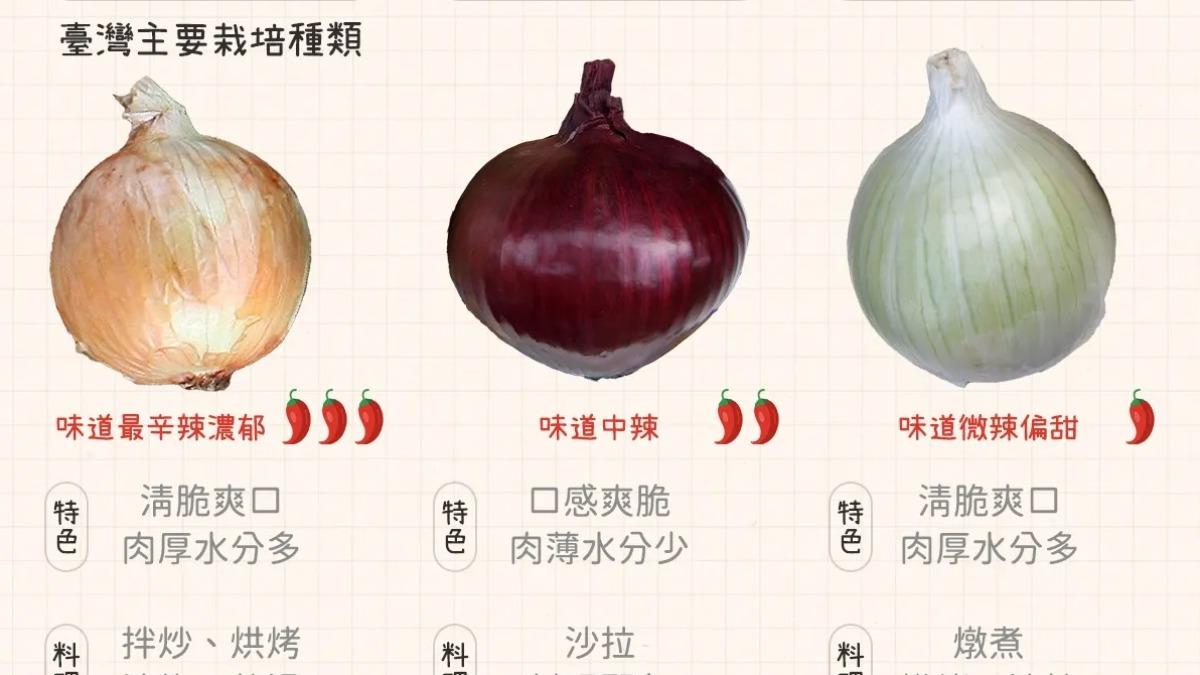 切洋蔥別急下鍋!專家曝「多1步驟」營養翻倍 3色味道大不同