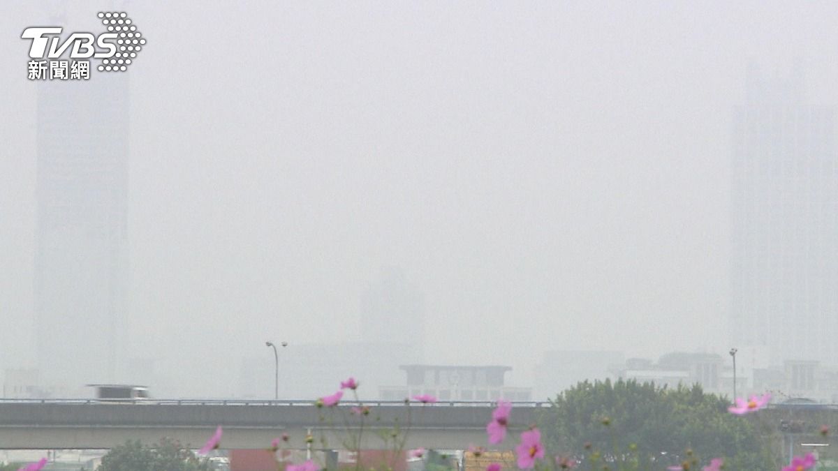 研究：抹茶可改善過敏打噴嚏？　醫師點出「關鍵真相」...這類人注意！