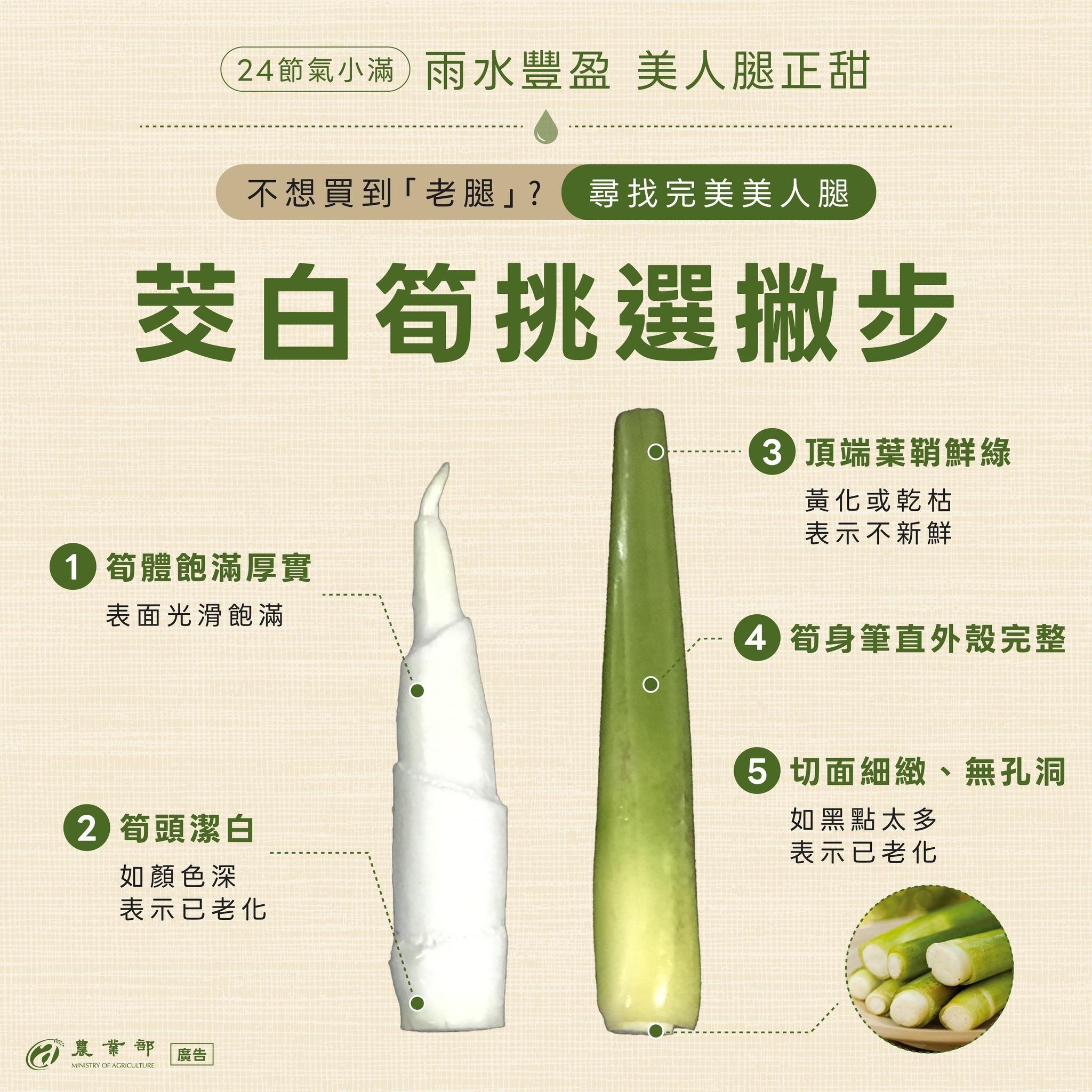 農業部分享茭白的挑選秘訣。(圖/翻攝自農業部粉專)