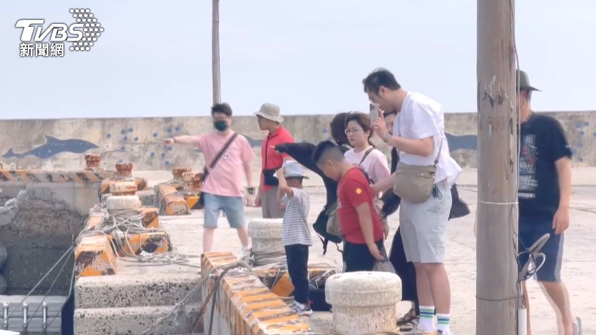 現場有民眾出動空拍機,想要記錄這難得一刻,這樣的行為恐會對海豚造成干擾。(圖/TVBS)