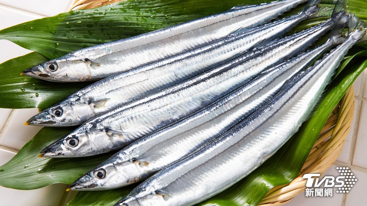 怕吃到重金屬?專家曝「4種魚」Omega-3高:1部位藏毒素