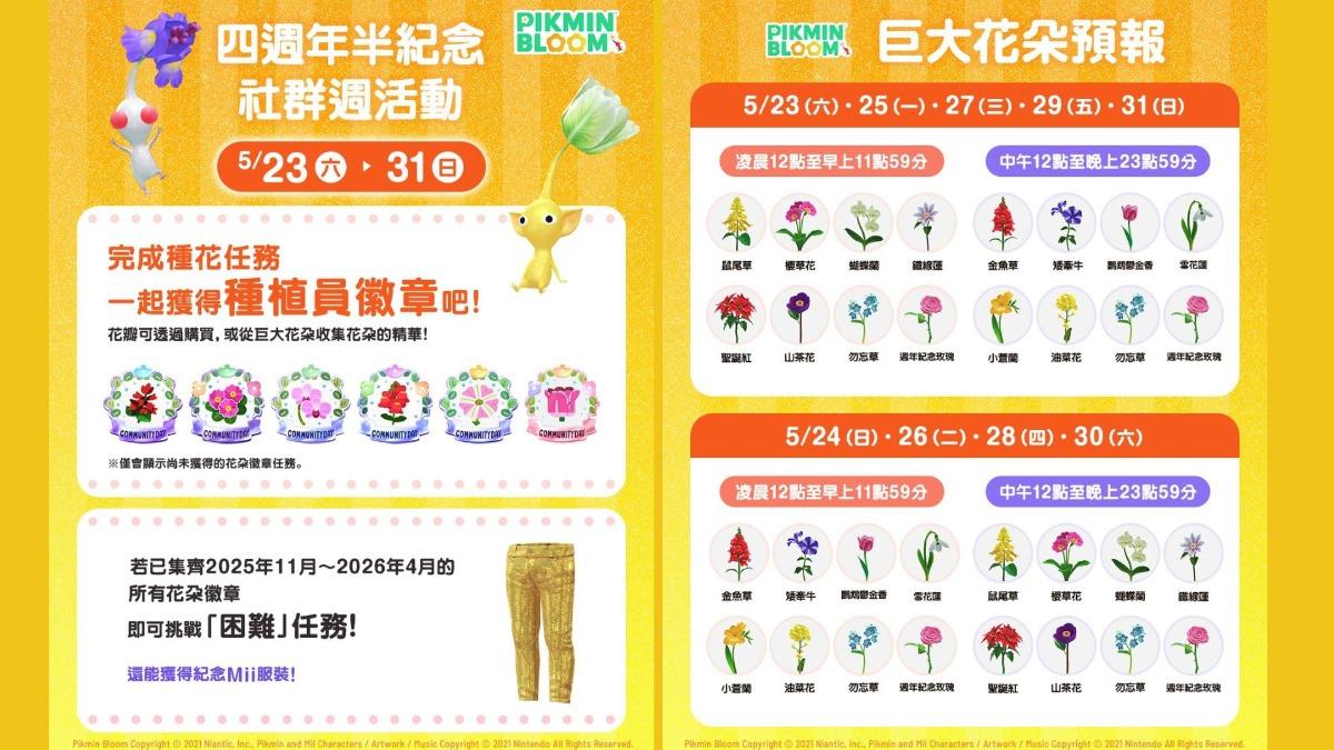 皮克敏社群週明天0時開始 6月社群日公布巨大花朵是風鈴草