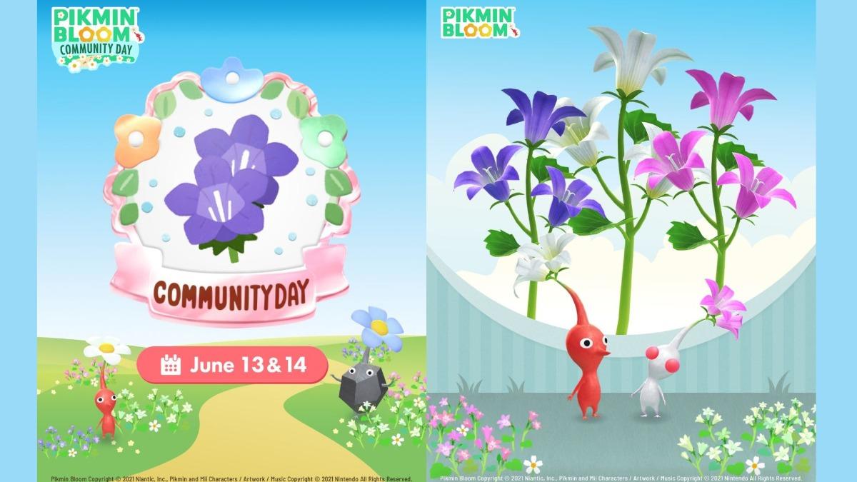 皮克敏另外公布6月社群日,為13、14日,巨大花朵將為風鈴草。(圖/pikminbloom_tc Threads)