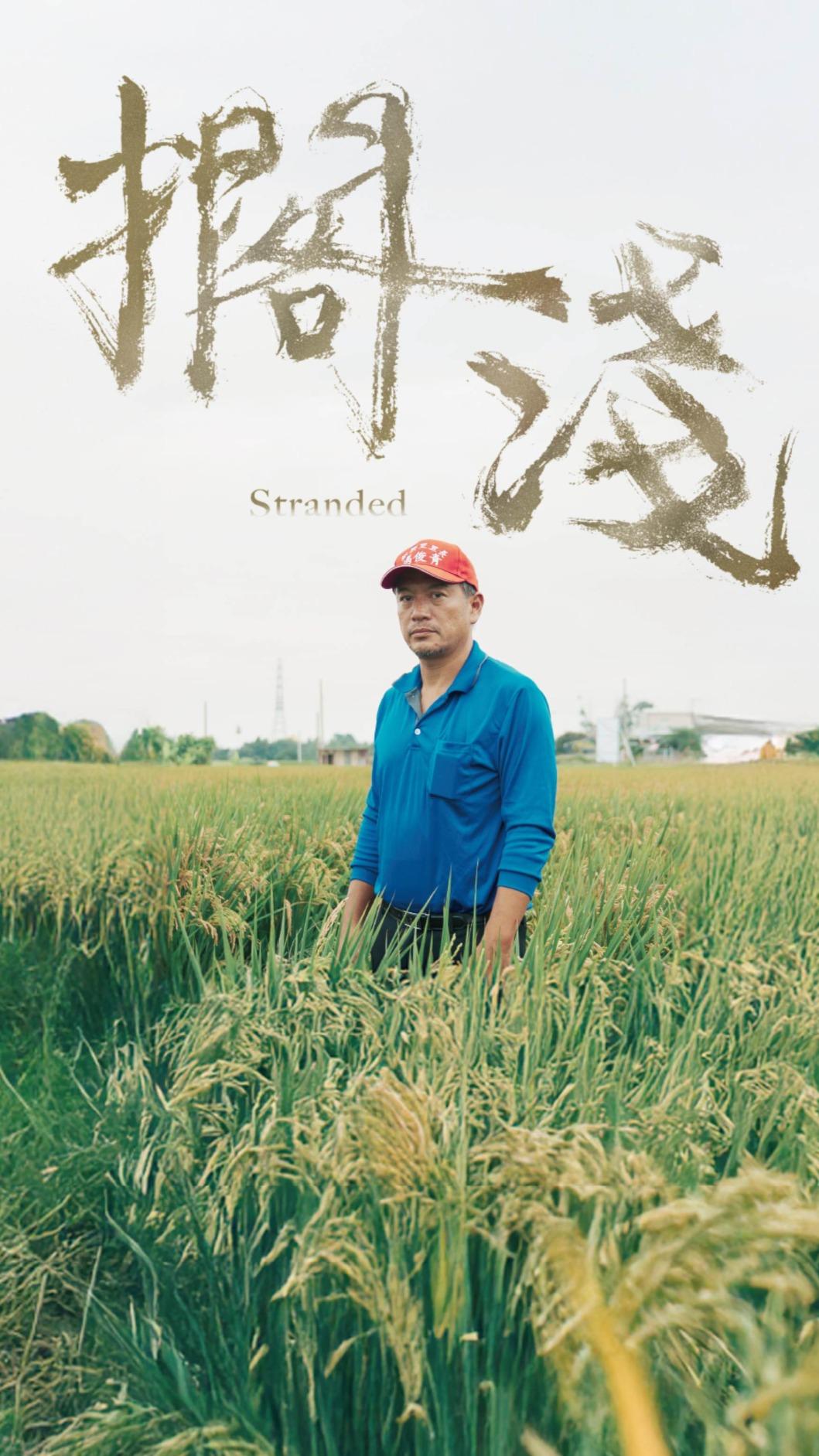 《擱淺》將在明首播。(圖/公視提供)