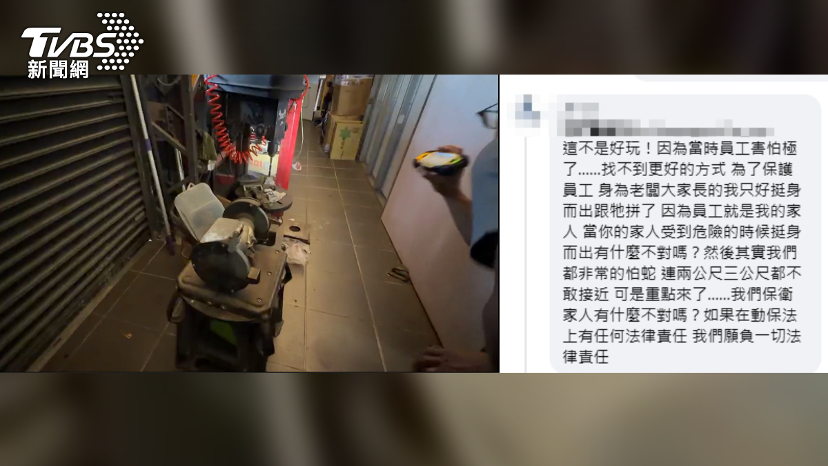 業者回應表示，員工遭眼鏡蛇攻擊咬鞋，才不得已剪斷蛇頭自保，但也為處理手法太過粗糙致歉（圖／TVBS）