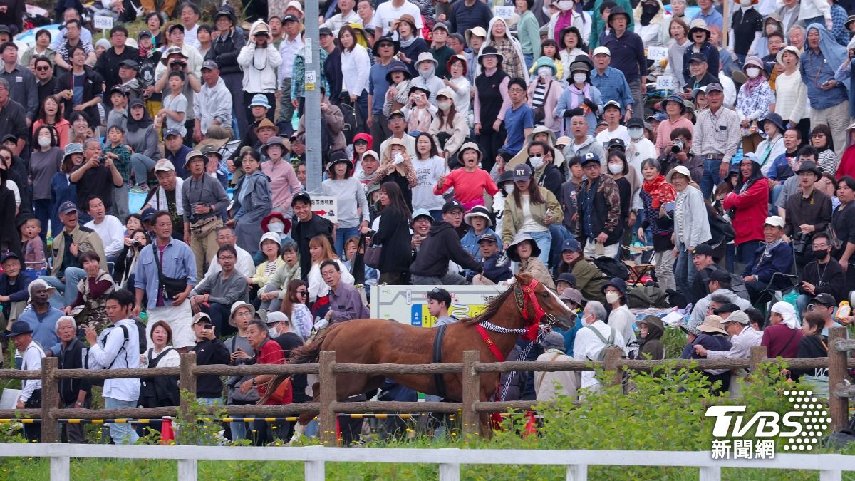 日本擁有千年歷史的國家級傳統祭典「相馬野馬追」,週末有一匹賽馬因為不明原因失控,一路暴衝闖進觀眾席。(圖/達志影像美聯社)