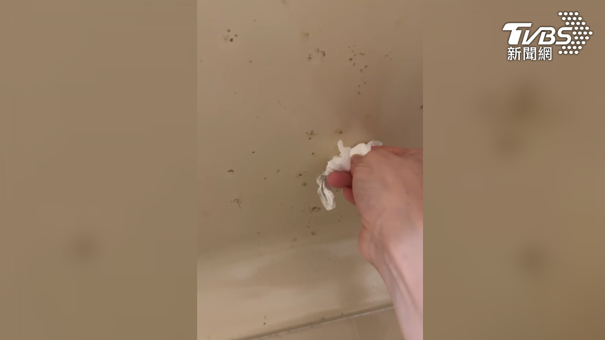 台東太麻里一家溫泉會館遭控訴清潔不周，旅客入住四人房，發現浴室門上、牆壁以及天花板佈滿黑點，整間都發霉（圖／翻攝Threads＠yating_awesome）
