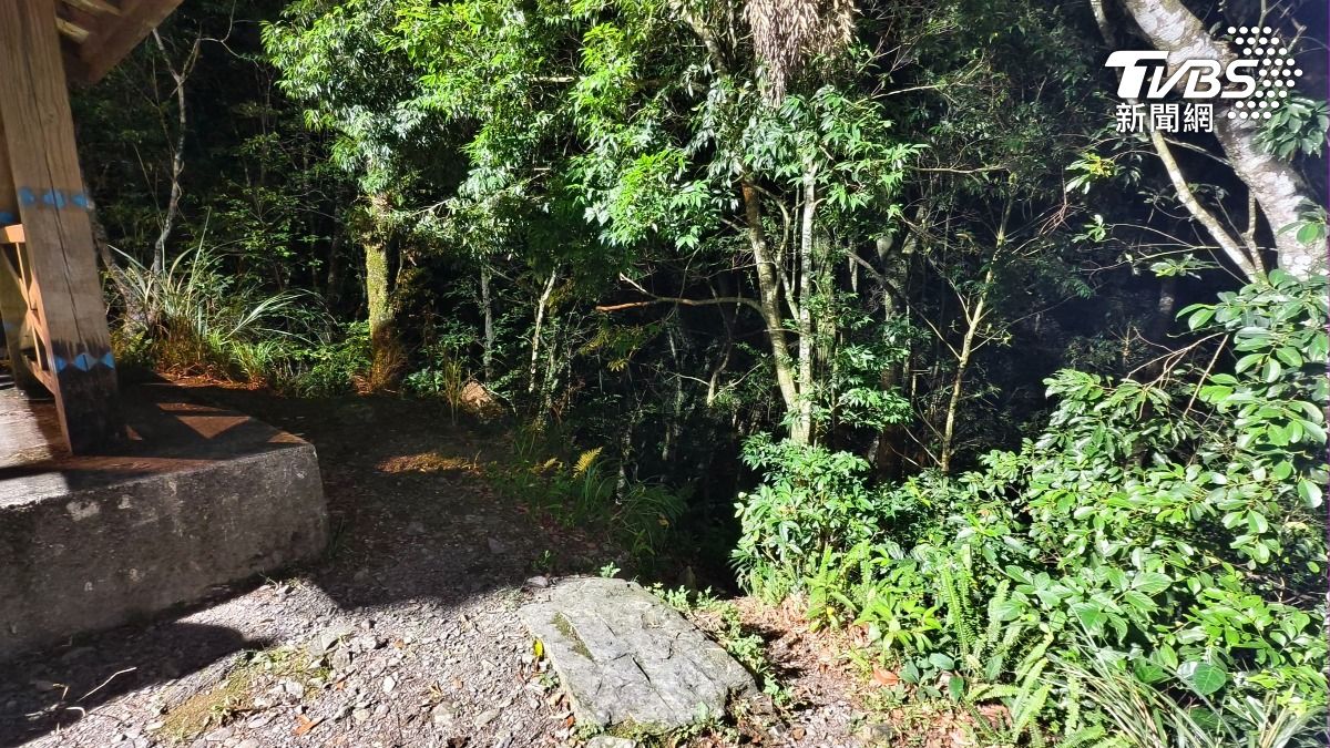 兩人的溪釣地點地勢相當險峻，從溪谷到一般道路的坡度十分陡峭，搬運遺體的難度極高。（圖／陳冠宇攝）