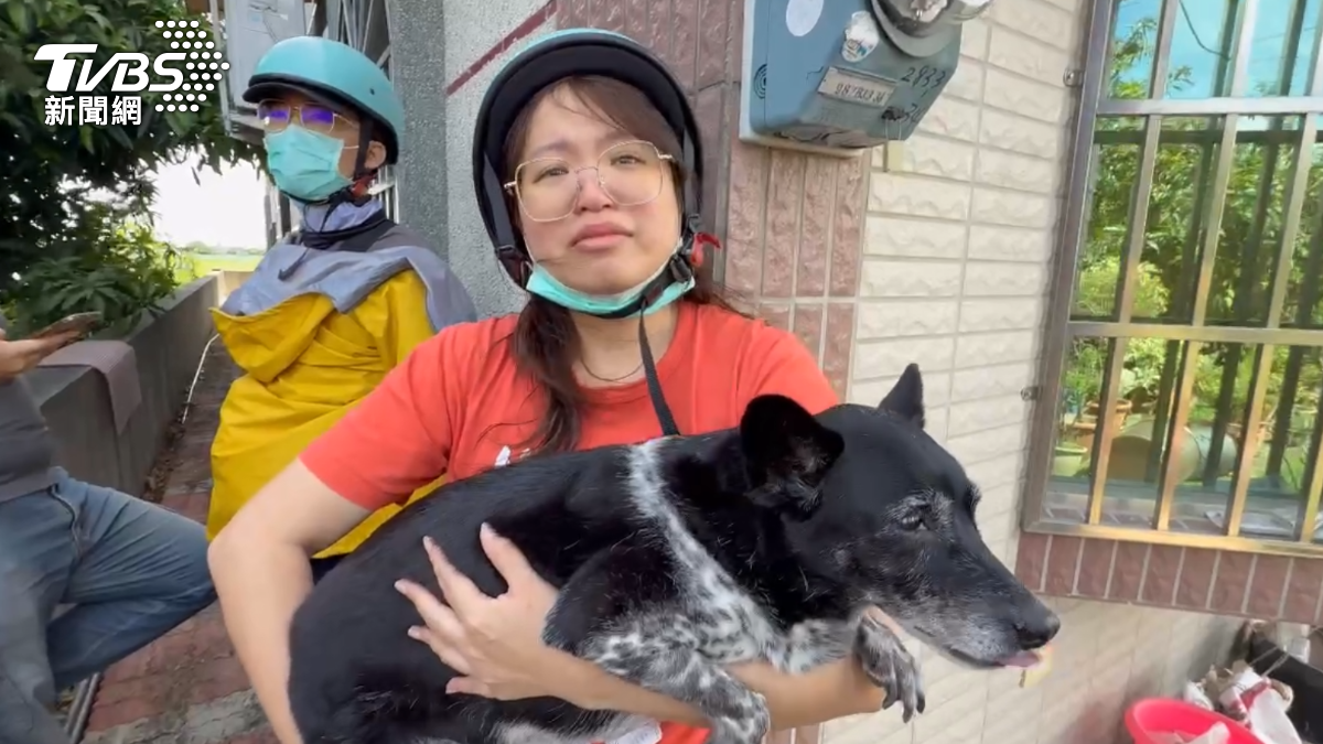 50萬懸賞不會全拿!鄰居阿北找回「美琪」:意思一下就好