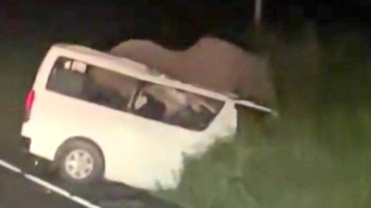 烏干達國家公園慘案 「汽車撞大象」3死4傷
