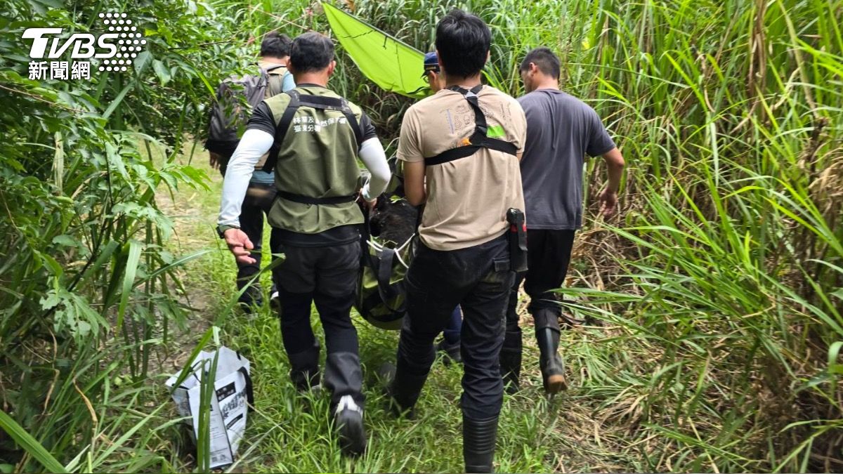 台東下賓朗部落族人及初鹿派出所警員等多人協同上山救援,並將受困黑熊搬運至平坦處供專業團隊檢傷。(圖/TVBS)