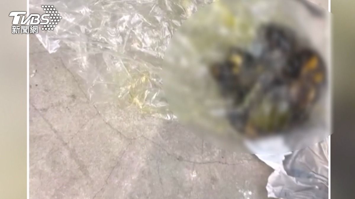 賣家形容,裡面好像是吃過的東西,油油的、臭臭的。(圖/TVBS)