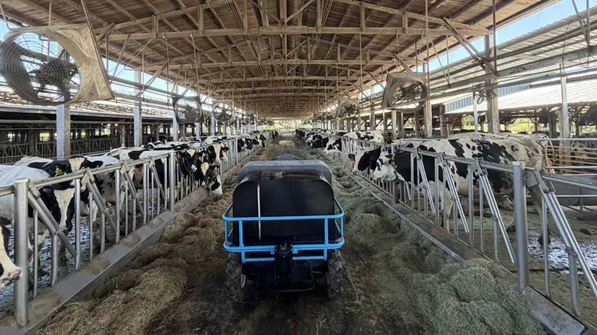 工研院攜手畜試所推機器人養牛　餵食清潔全包