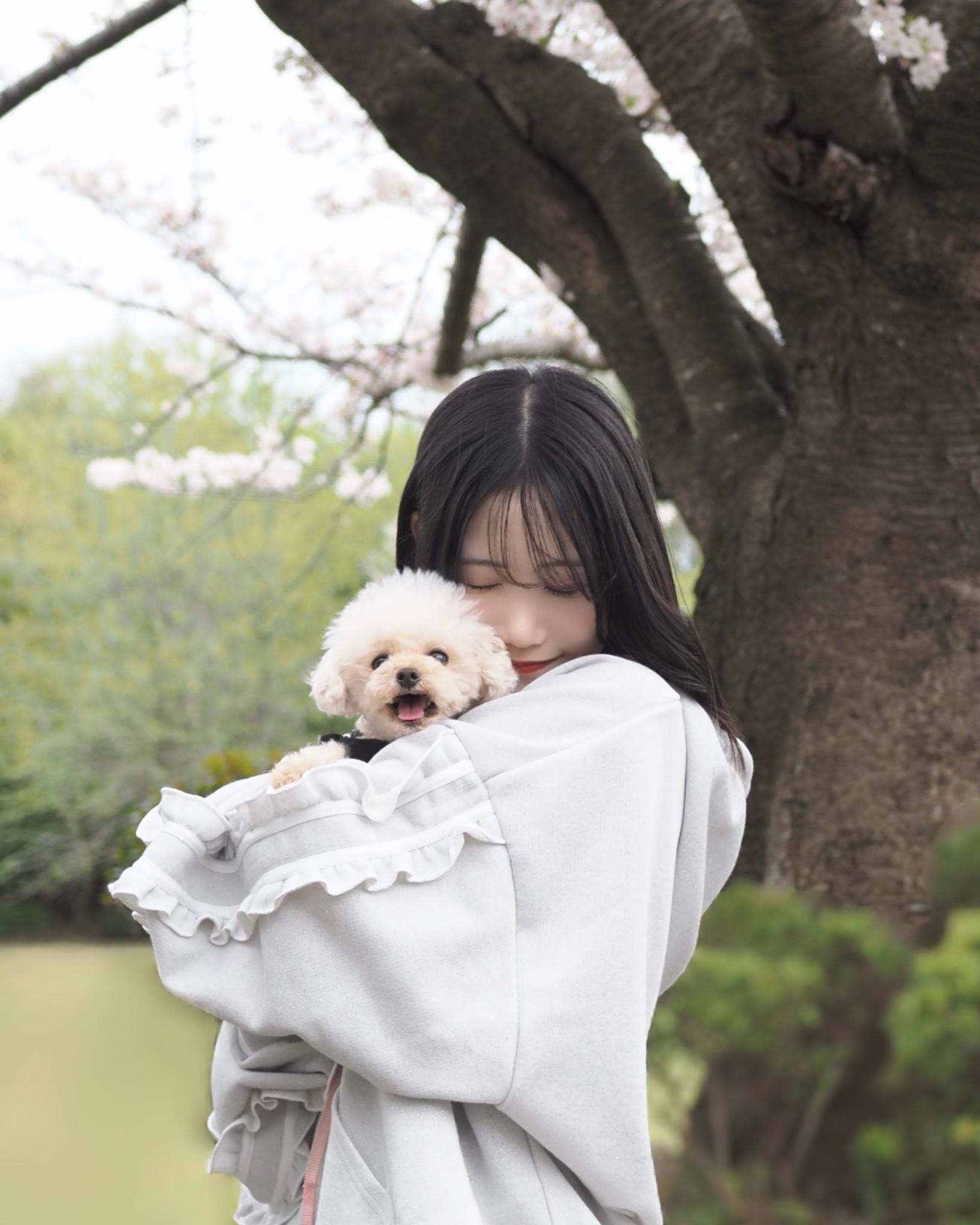 養病期間鈴木愛來也會分享跟愛犬的照片，散發正能量。（圖／翻攝自鈴木愛來推特）