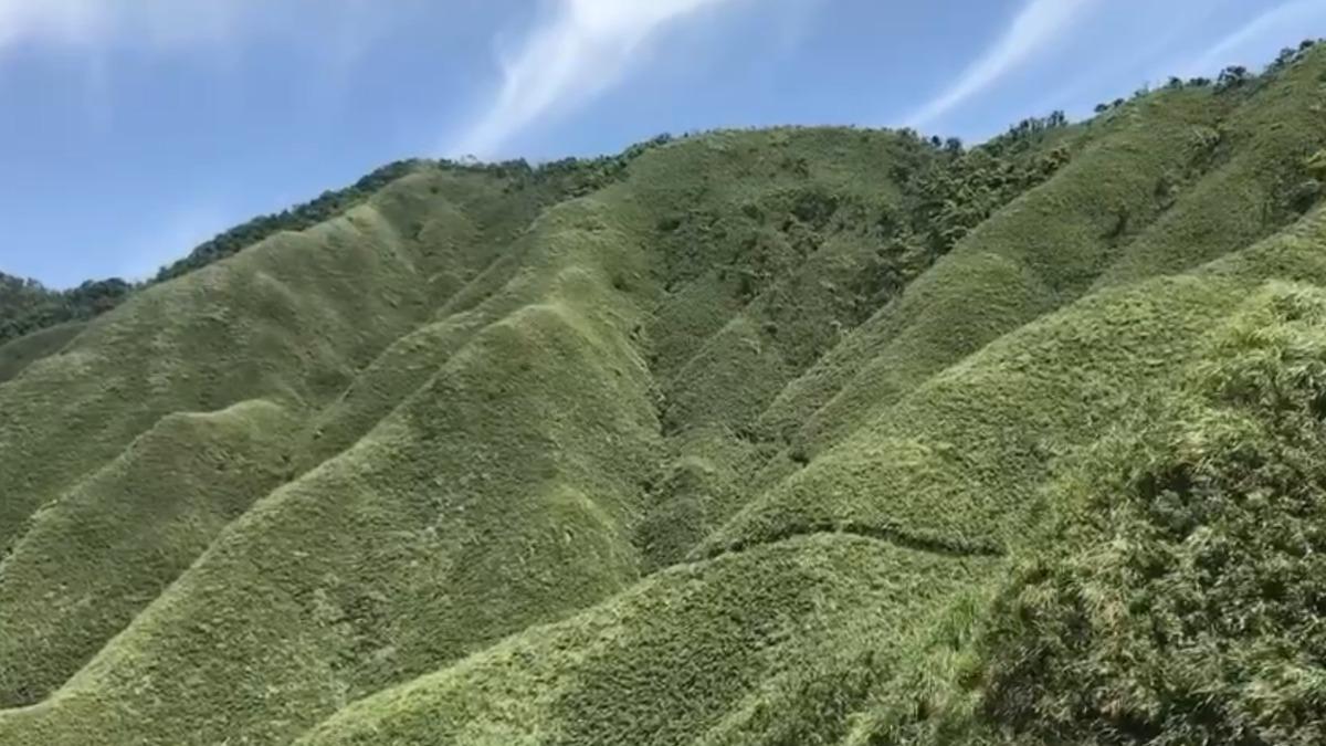 山友哀號！抹茶山6月起禁止進入 封閉時間長達5個月