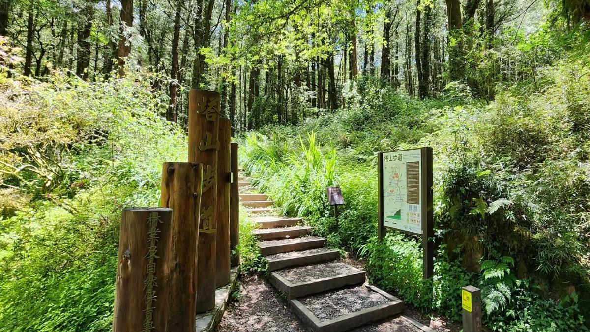 阿里山「塔山步道」7月起封閉整修 溪阿縱走只能原路折返