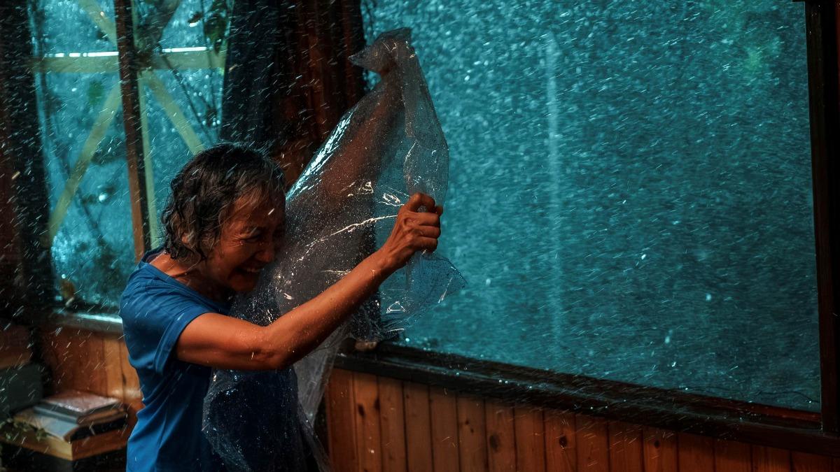 影后單薄身軀迎戰風雨　喚醒「真實驚魂記」：颱風吹到抱電桿