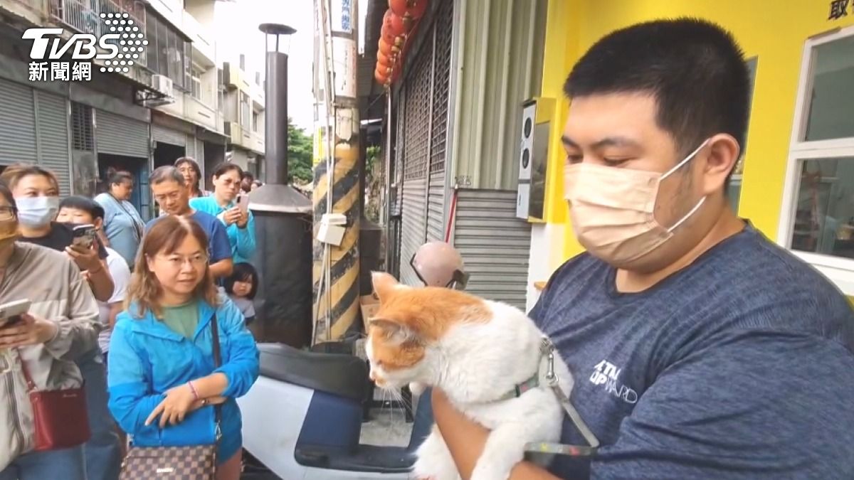 店貓遭偷「女賊家人拒養野放」終被尋獲 店家送千份雞蛋糕謝鄉親
