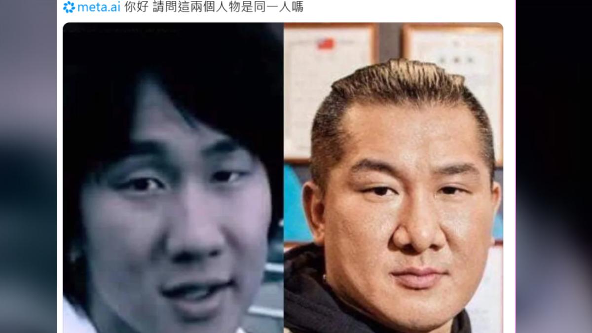 「林俊傑、館長是同一人？」Meta AI回這句　笑翻全網
