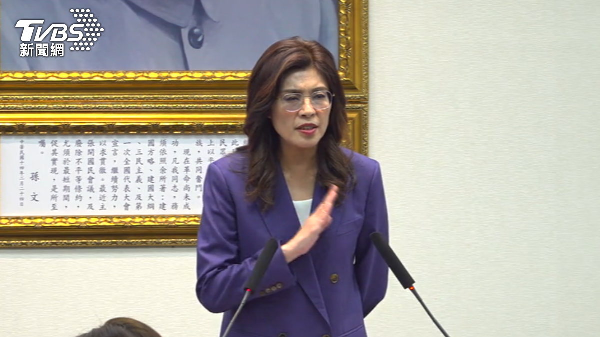 國民黨主席鄭麗文傳有意推動修法討回黨產，以解決藍營21億元債務。(圖／TVBS)