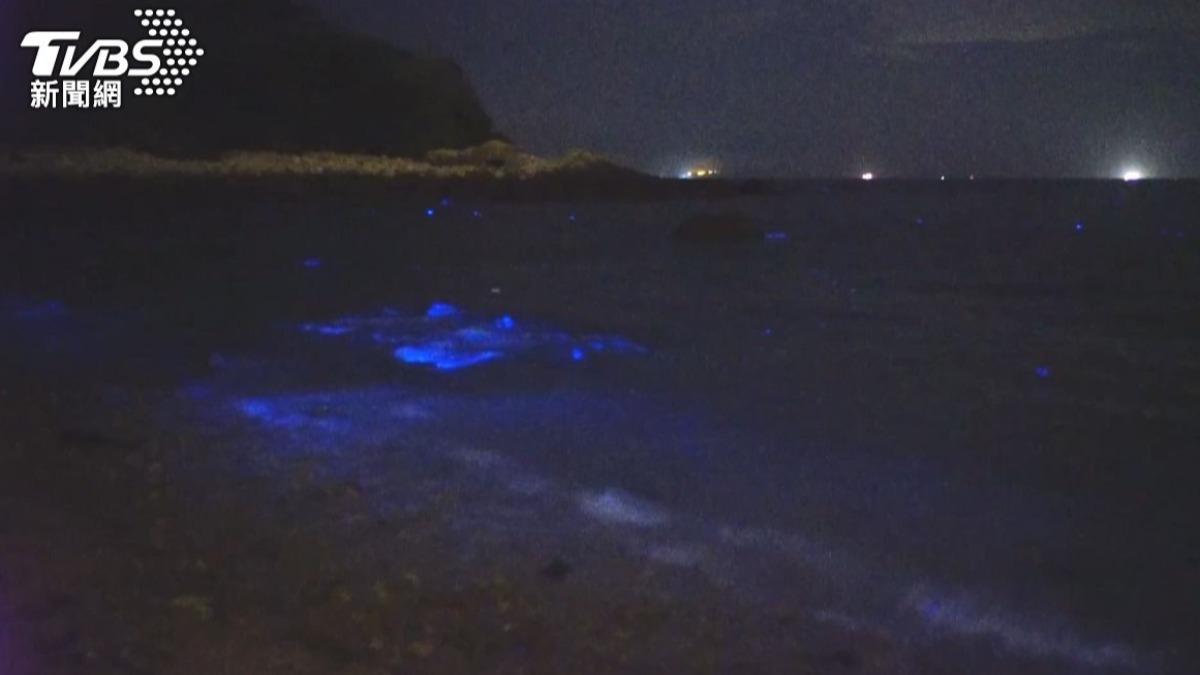 錯過再等1年!CNN曝「藍眼淚」是全球奇景 台灣也看得到