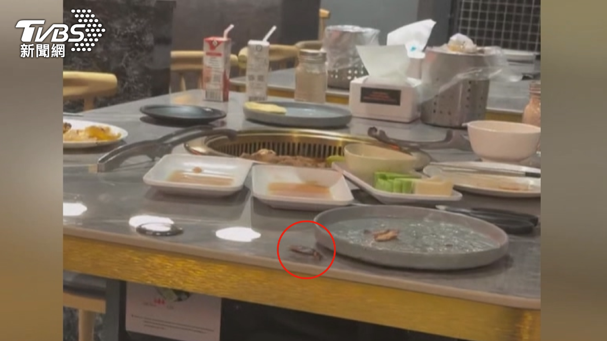 高雄鳳山一間連鎖燒肉店,民眾吃到一半站了起來,還有人發出尖叫聲,因為看到一隻「大水溝蓋等級」的大蟑螂。(圖/翻攝Threads_chenkaiyi0613)