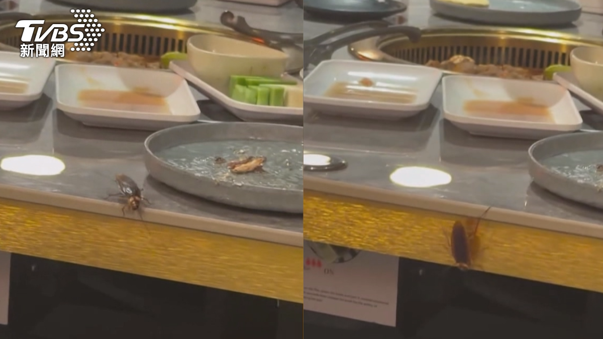 消費者在店內用餐時,突然聽到隔壁桌傳出尖叫聲,原來是一隻體型碩大、疑似會飛的蟑螂,正在餐桌上四處爬行。(圖/翻攝Threads_chenkaiyi0613)