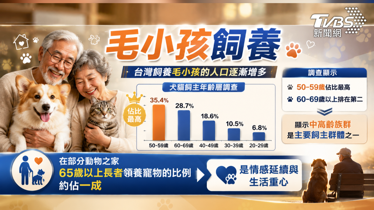 長者喪寵恐難走出傷痛(圖/TVBS)