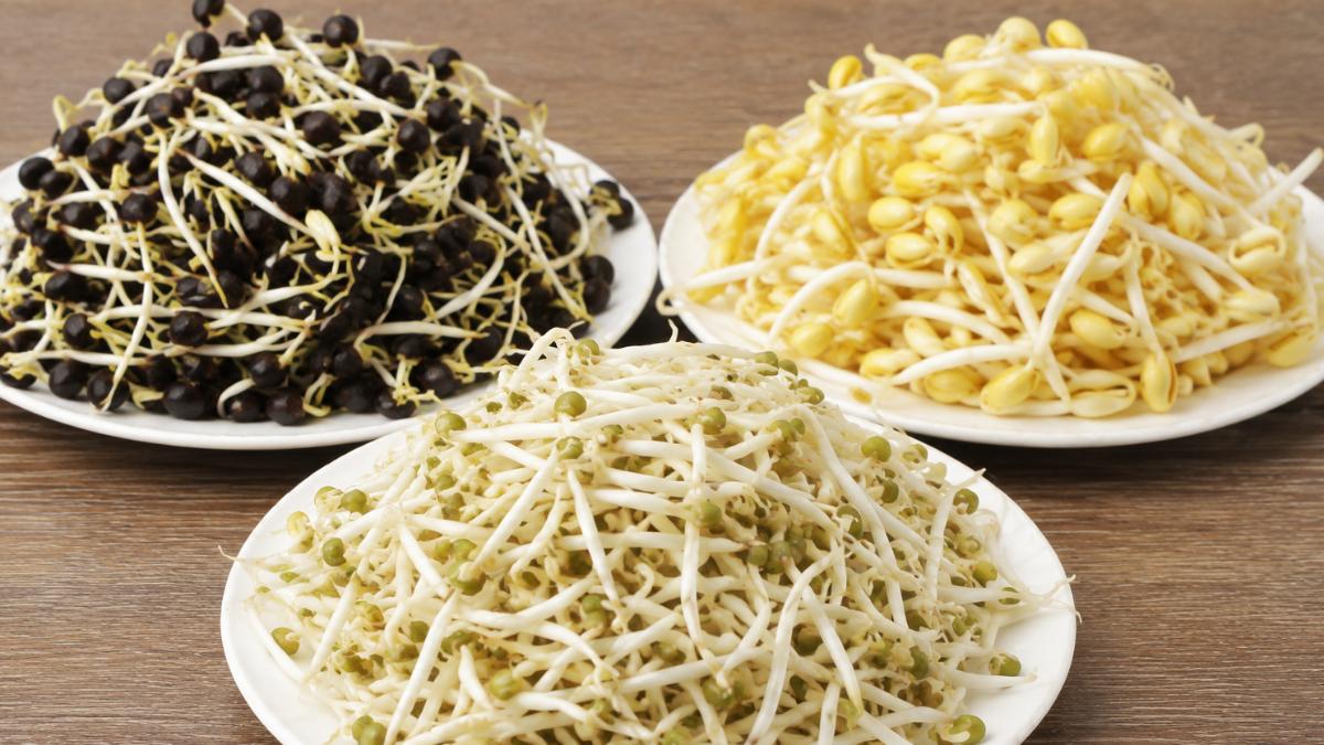 地瓜葉慘輸!營養師曝「豆芽菜」纖維稱霸:帶豆瓣吃CP值最高