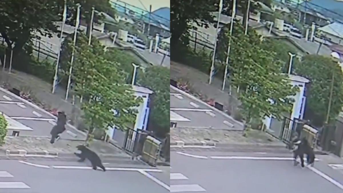 驚悚畫面曝光!黑熊闖福島鋼鐵廠狠咬員工 連傷4人至今未捕獲