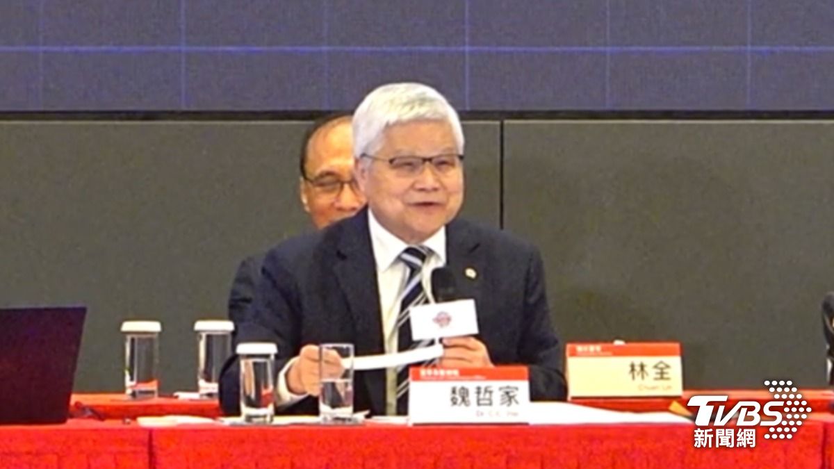 台積電董事長魏哲家親自主持股東會。(圖/TVBS)