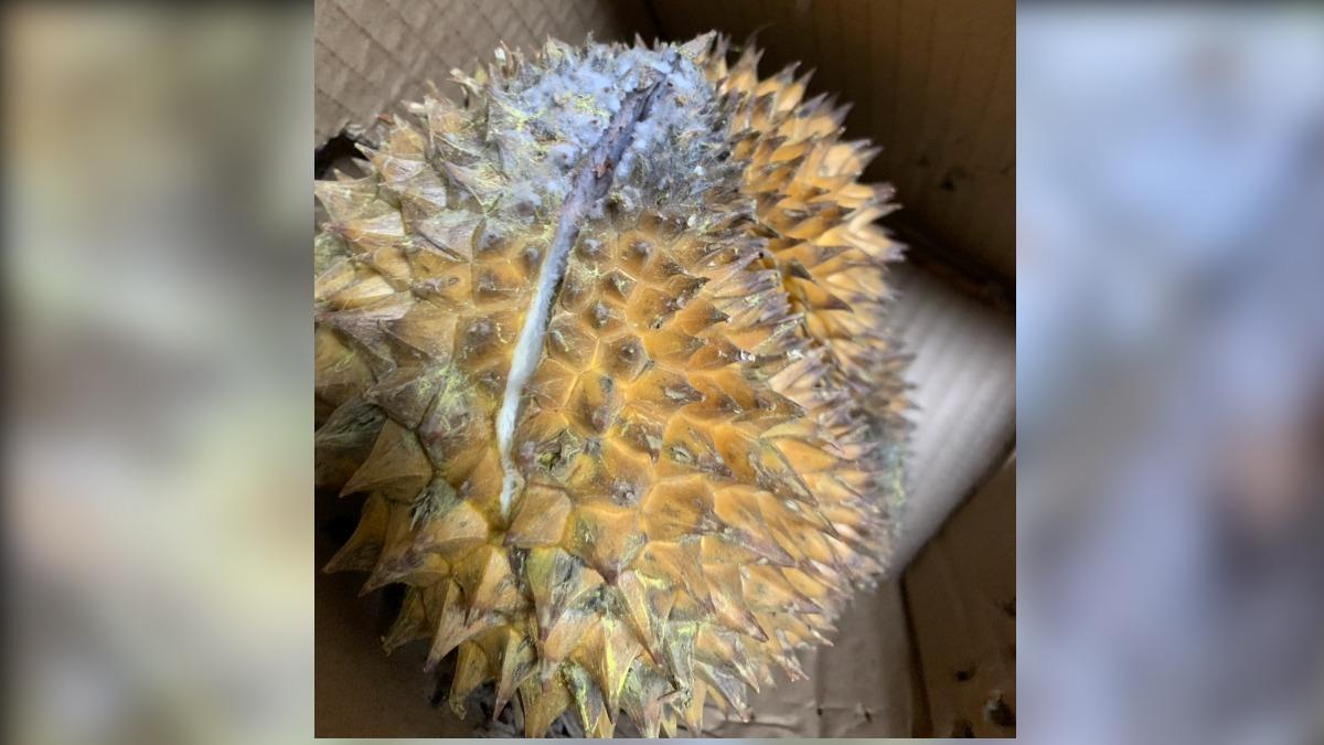 民眾花了快四千元買榴槤,結果發現外殼長滿了白色的黴菌。(圖/TVBS )