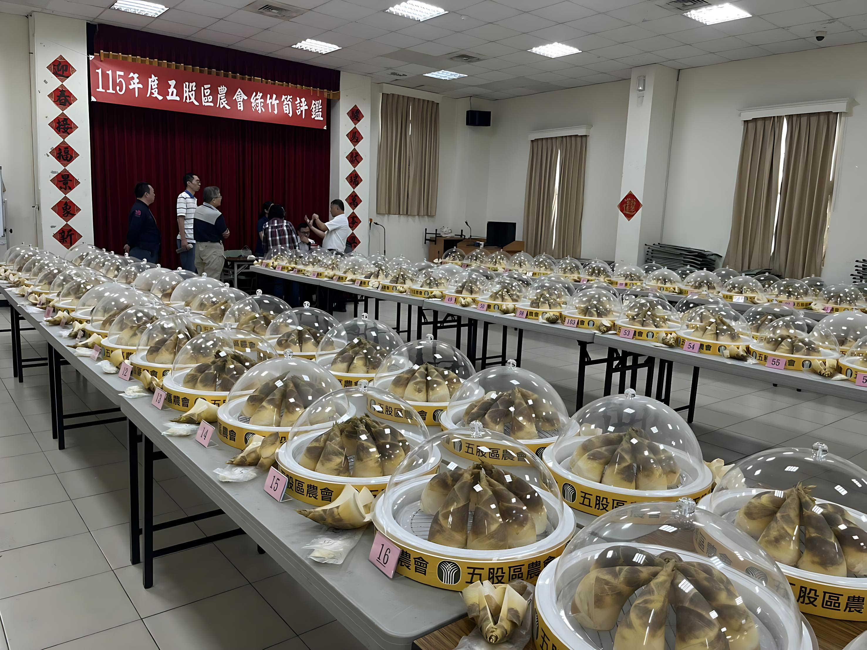 五股綠竹筍評鑑結果出爐!雙料冠軍誕生 邀您品嚐觀音山夏日鮮甜好滋味