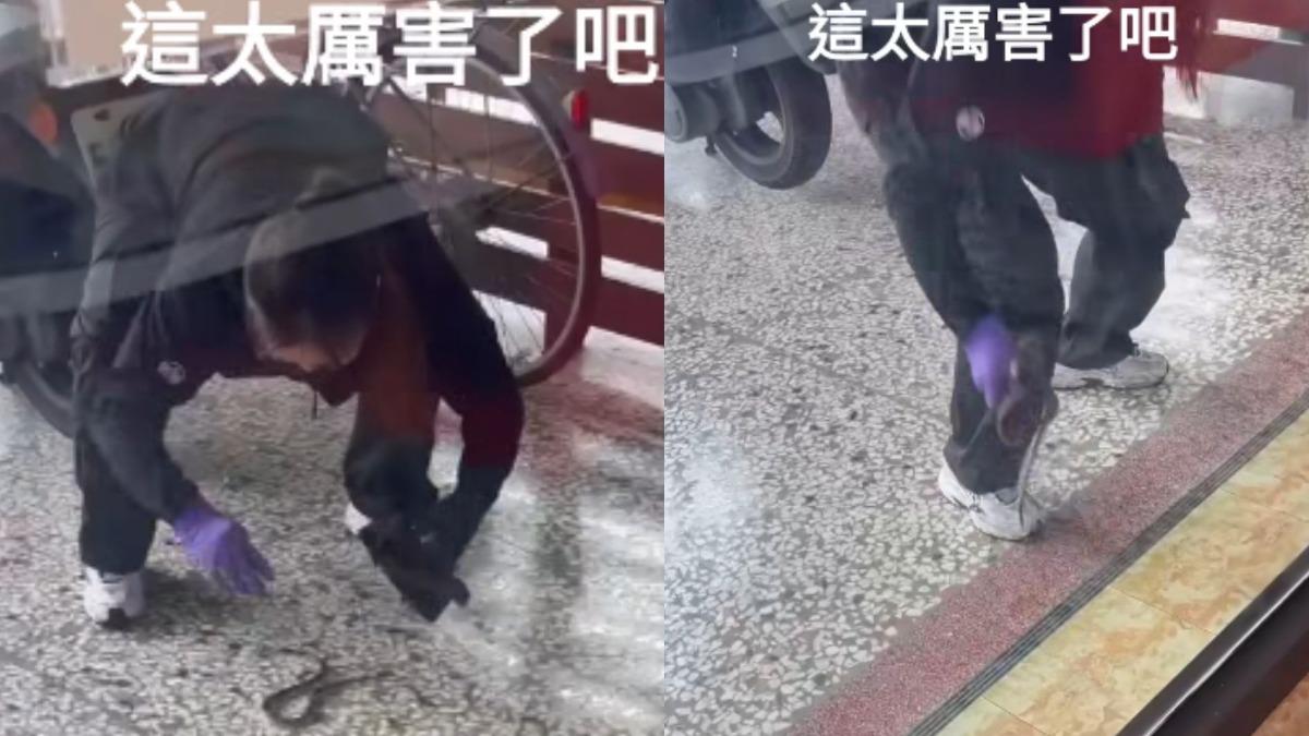 地表最猛!彰化女店員「徒手抓蛇」單手拎走 全網讚爆:要加薪