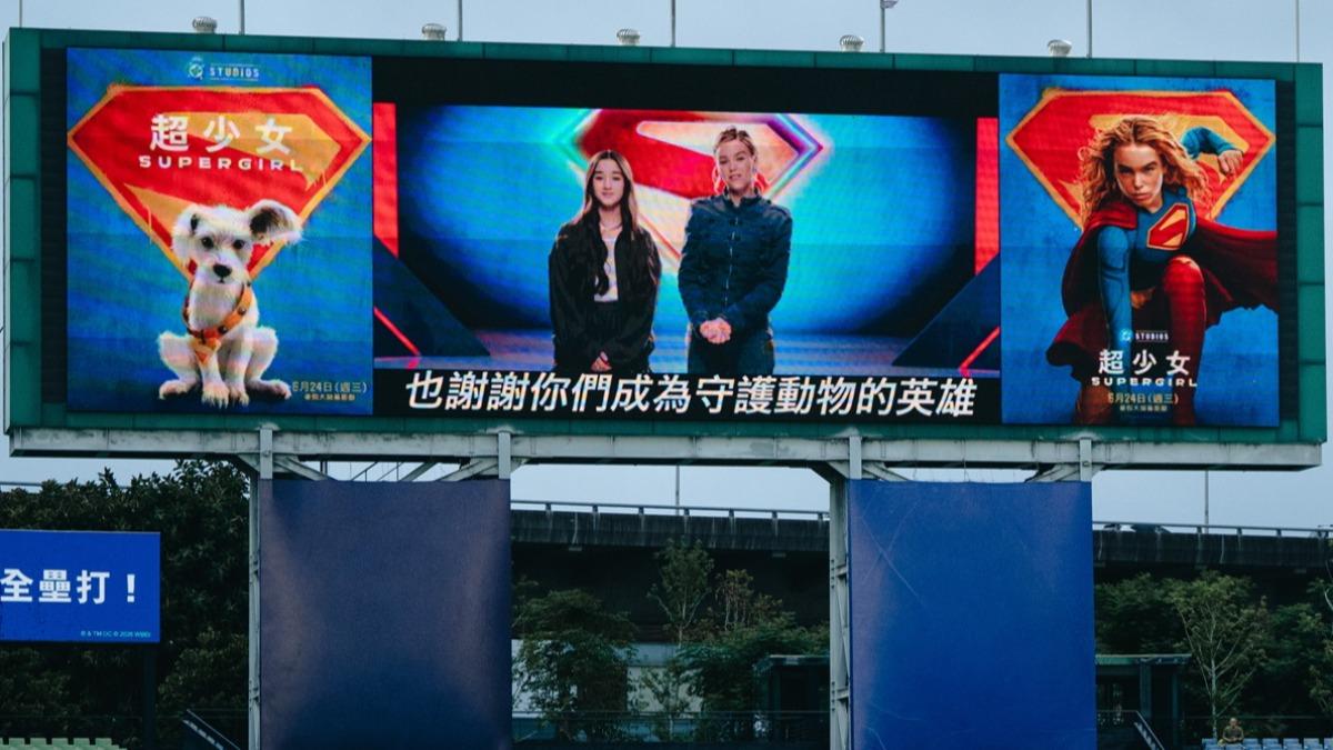 DC《超少女》聯名中信兄弟開賽!「超狗」金牌捕手萌翻全場 米莉愛考克暖心力挺毛小孩