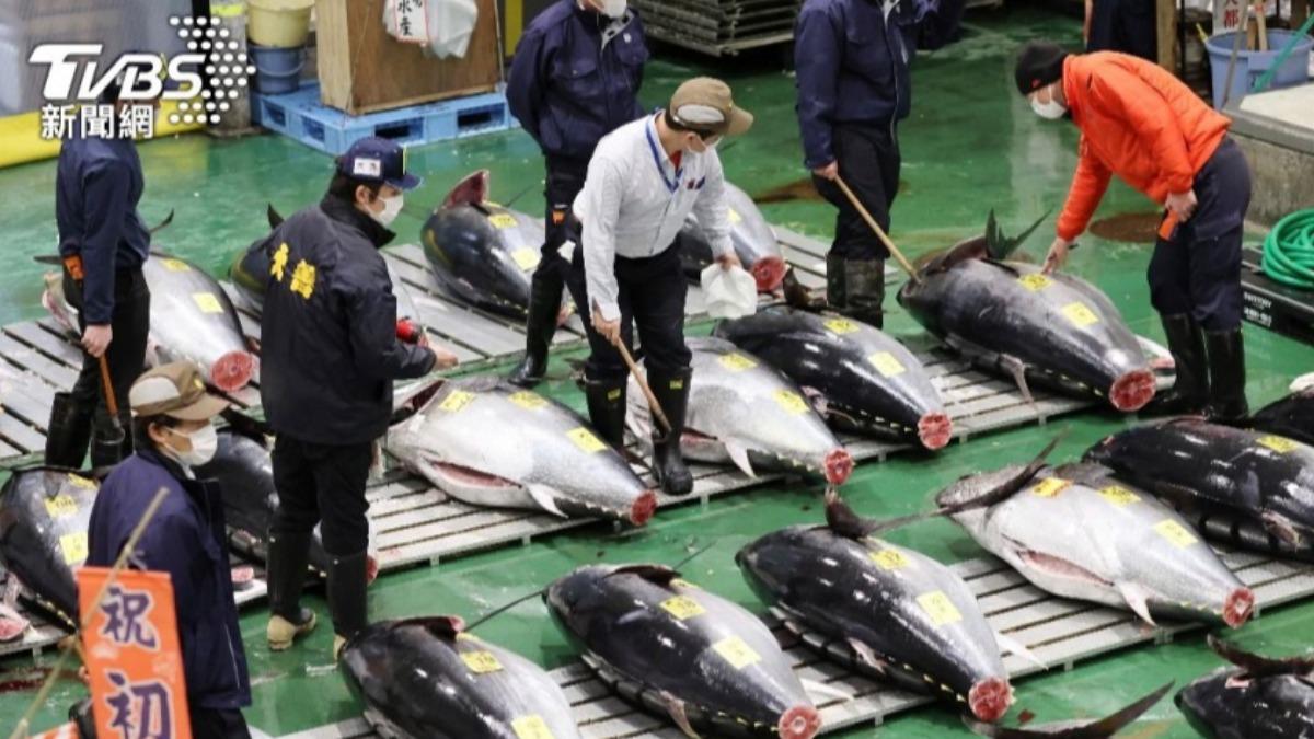 海水升溫改變魚群分布,日本近海黑鮪魚漁獲量明顯增加迎來大豐收。(圖/達志影像美聯社)