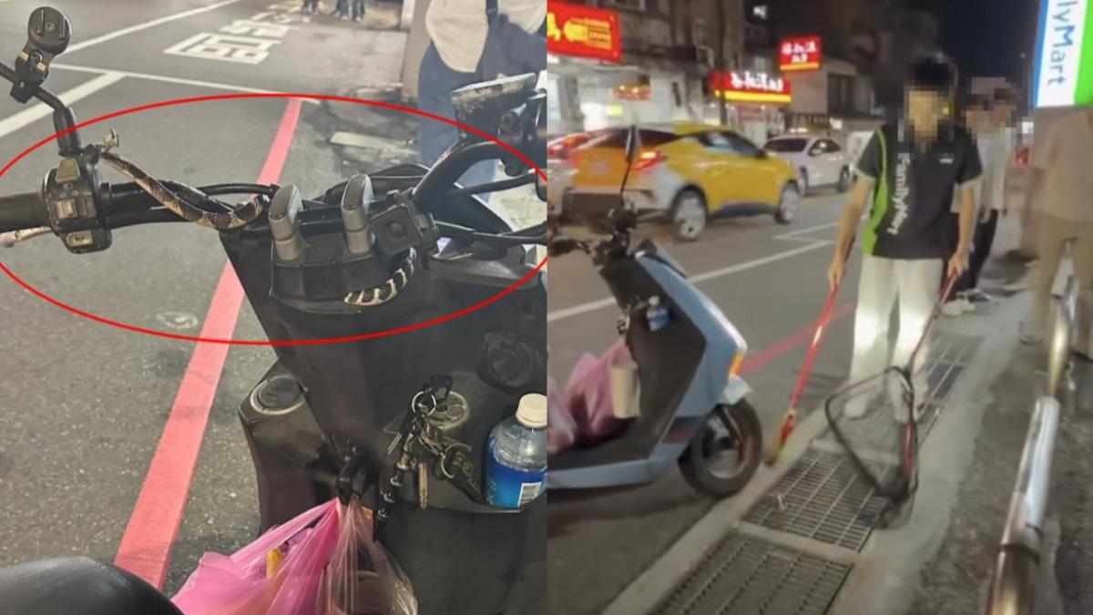 騎到一半鑽出「黑白蛇」！基隆女嚇壞尖叫　超商店員淡定眾人狂讚
