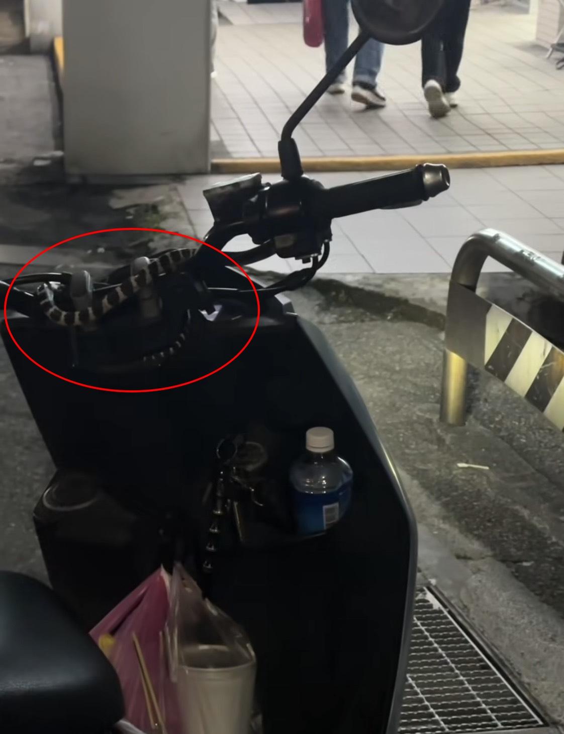 女子騎車騎到一半驚見蛇鑽出。(圖/翻攝自Threads@hey_hehong授權提供)