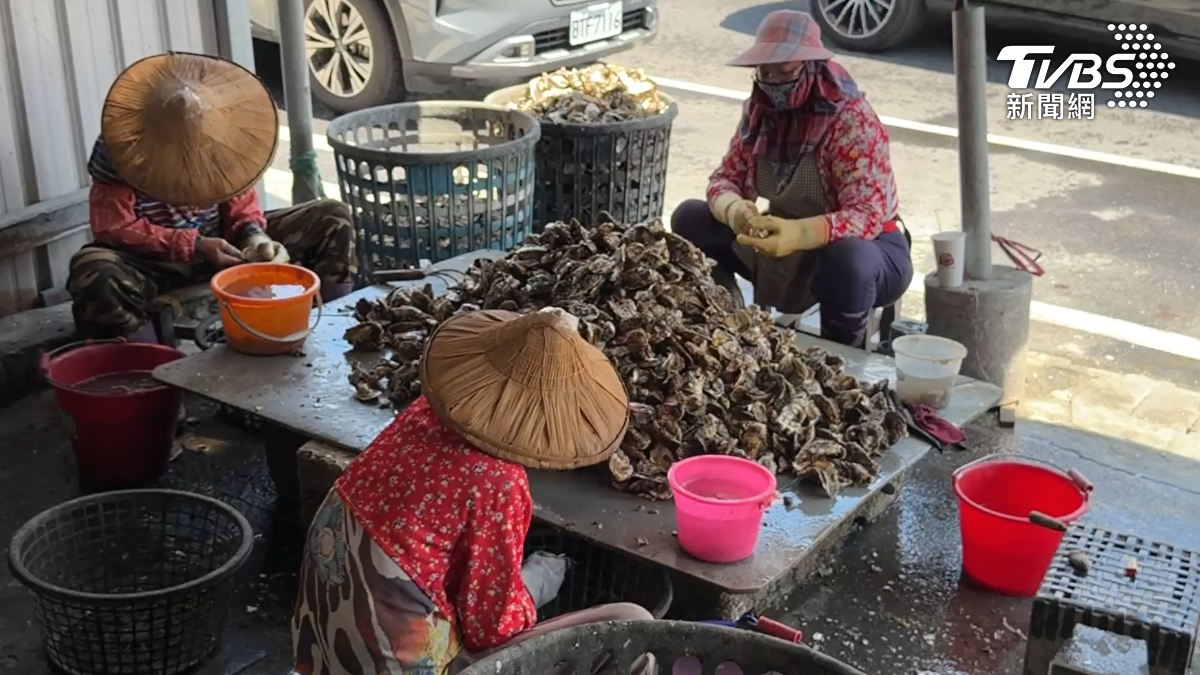 近期市場傳出越南蚵混充台灣蚵的情況，不少消費者選擇直奔產地嘉義東石購買現剝鮮蚵。（圖／TVBS）