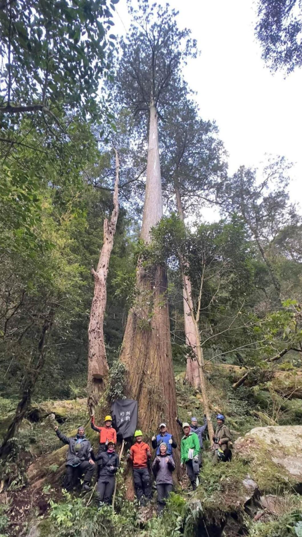 為了找出這把「天劍」,生態學家對全台森林進行詳細的3D地圖掃描。(圖/翻攝自成功大學)