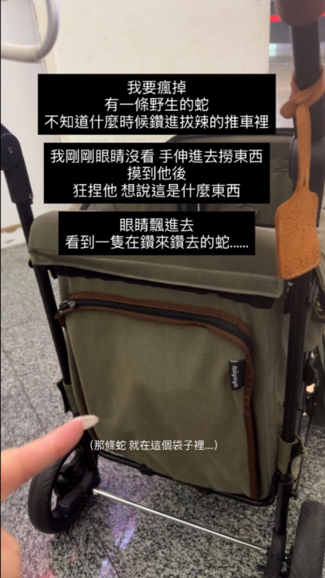 主人伸手進推車拿東西時，竟直接摸到蛇身。（圖／Threads as1471471授權）