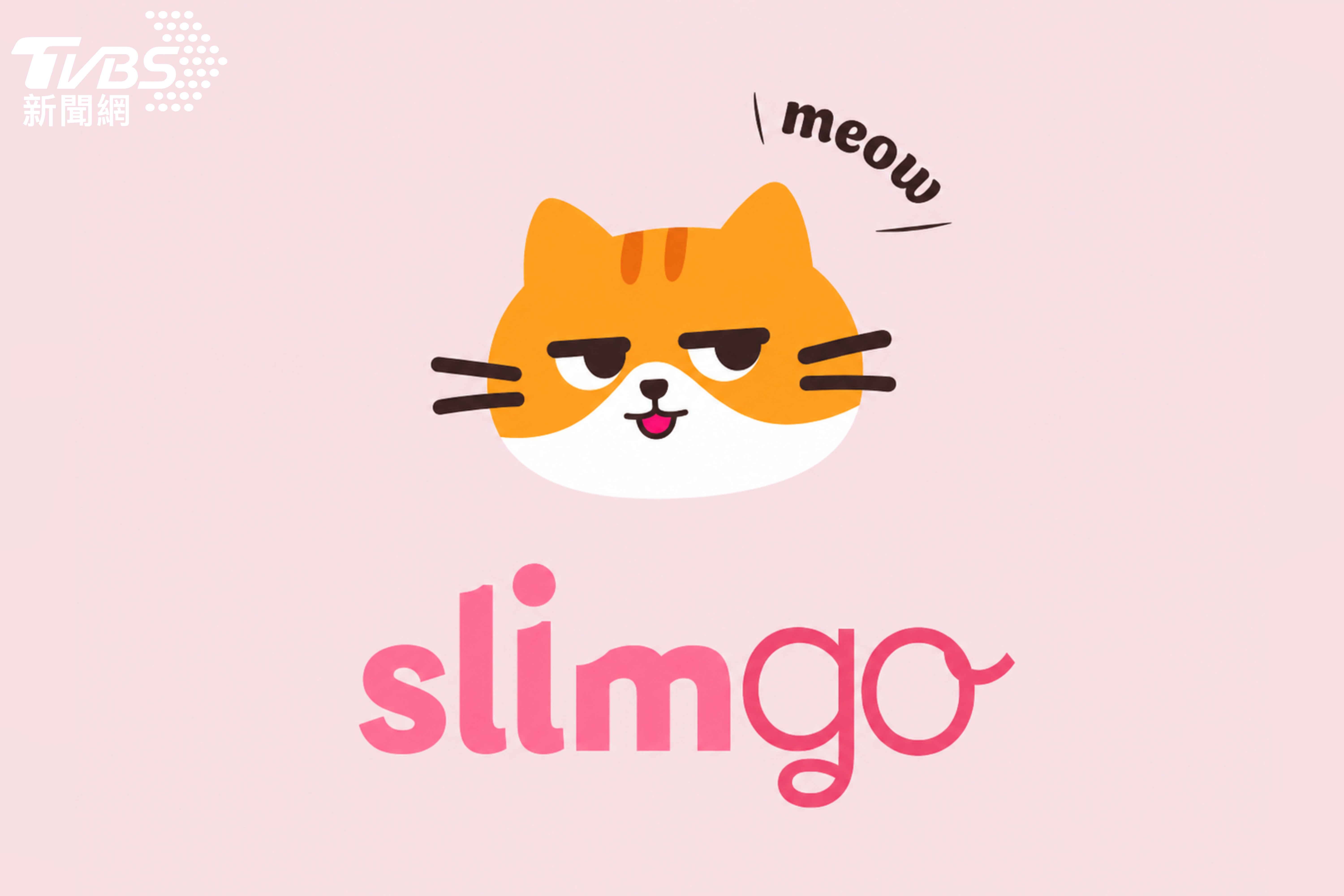 TVBS跨足數位健康！推全新減肥APP「SlimGo 想要瘦」