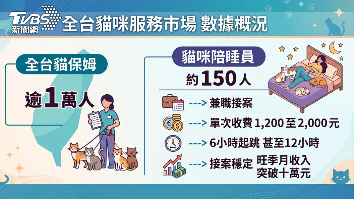 貓咪陪睡員。(圖/TVBS)