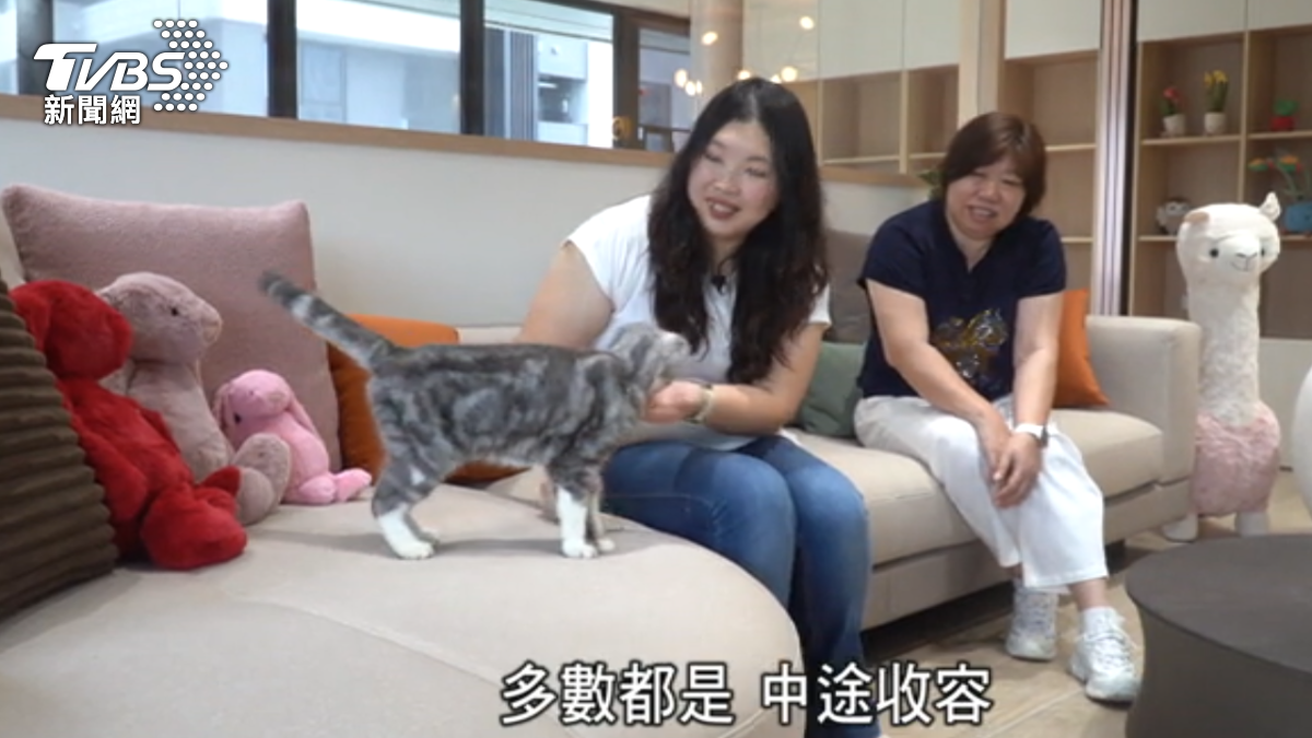 打造無毒居家。(圖／TVBS)