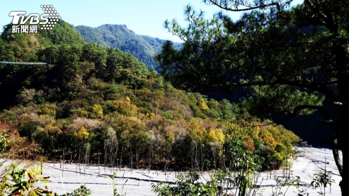 奧萬大休園一日。（圖／TVBS）