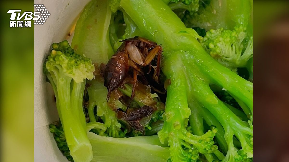 升級高蛋白套餐?知名連鎖店爆花椰菜有蟑螂 台中衛生局要查