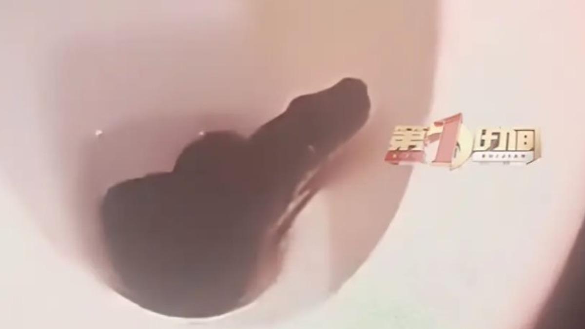 26樓馬桶驚見1.5公尺巨蛇?驚悚畫面陸網瘋傳 官方發聲了