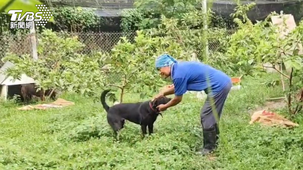 高雄市動保處與中華民國保護動物協會啟動「狗來富—送收容所毛小孩到桃花源」計畫。（圖／TVBS）