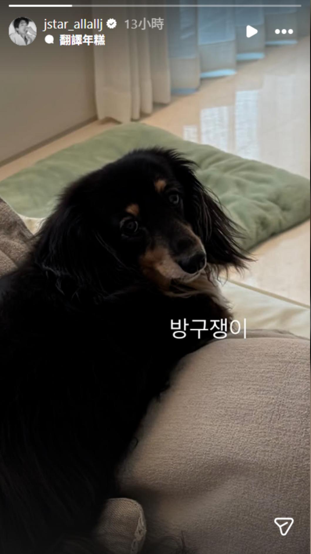 鄭敬淏在證實分手前,才剛曬出和秀英共同飼養的寵物犬。(圖/翻攝自IG)